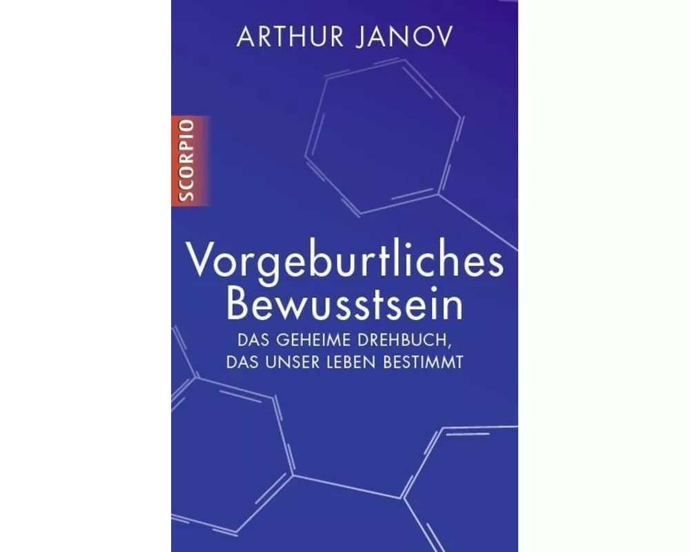 Vorgeburtliches Bewusstsein