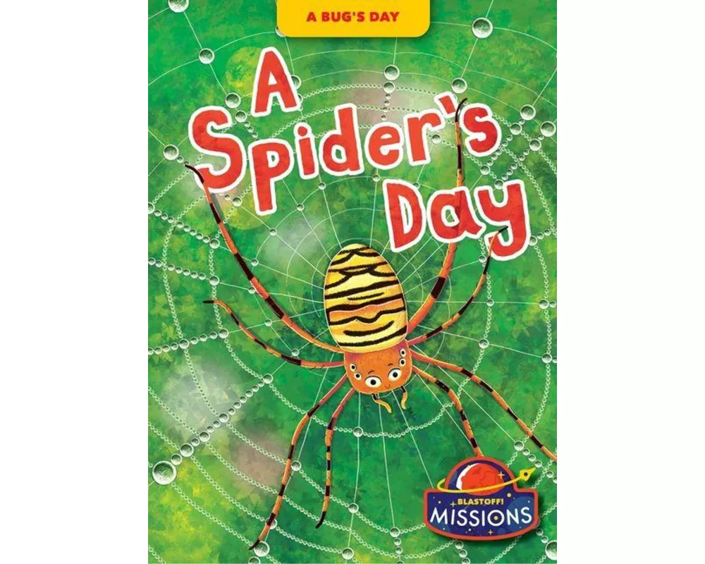 A Spider's Day
