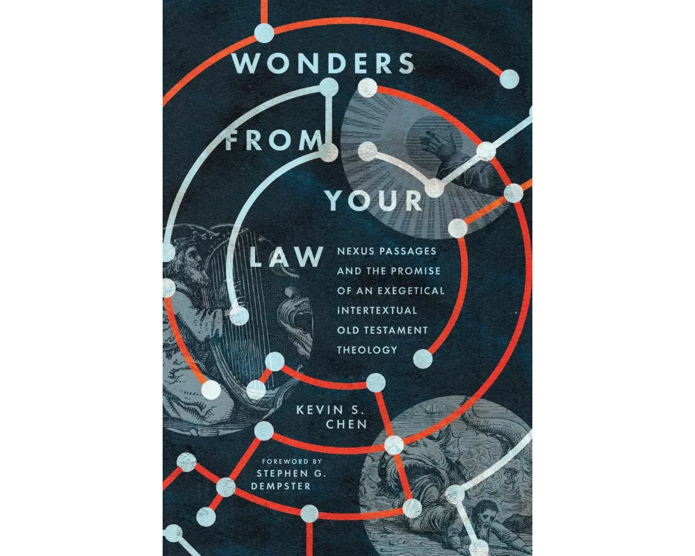 Wonders from Your Law