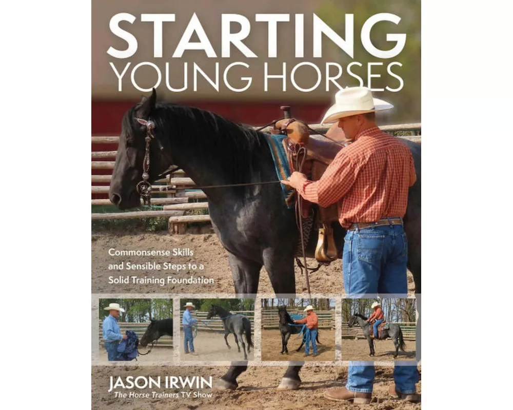 Starting Young Horses