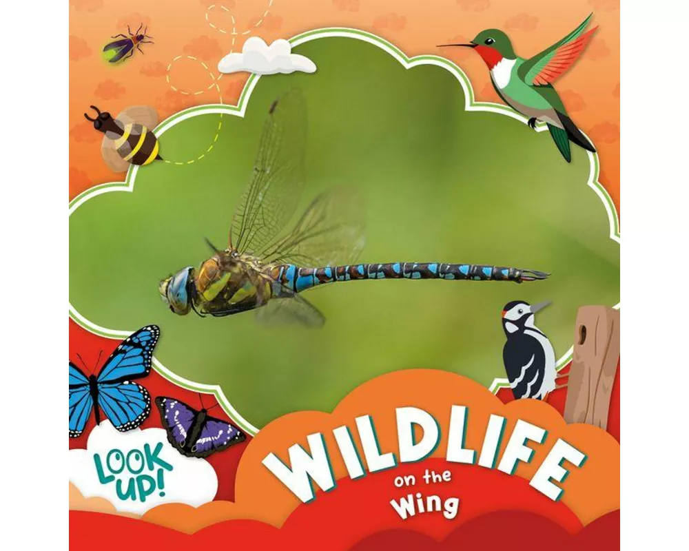Wildlife on the Wing