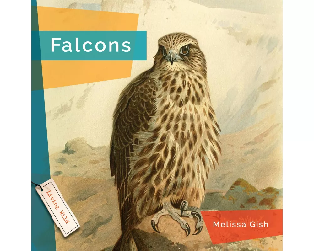 Falcons