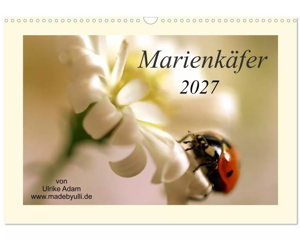 Marienkäfer / 2027 (Wandkalender 2027 DIN A3 quer), CALVENDO Monatskalender