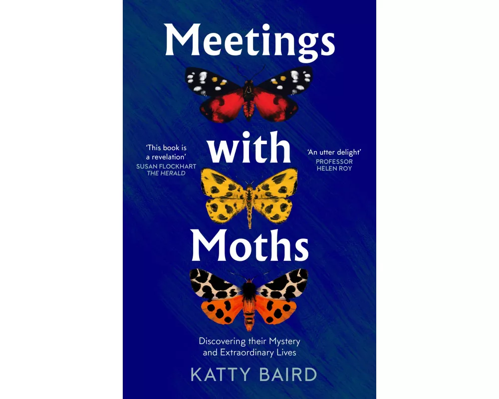 Meetings with Moths