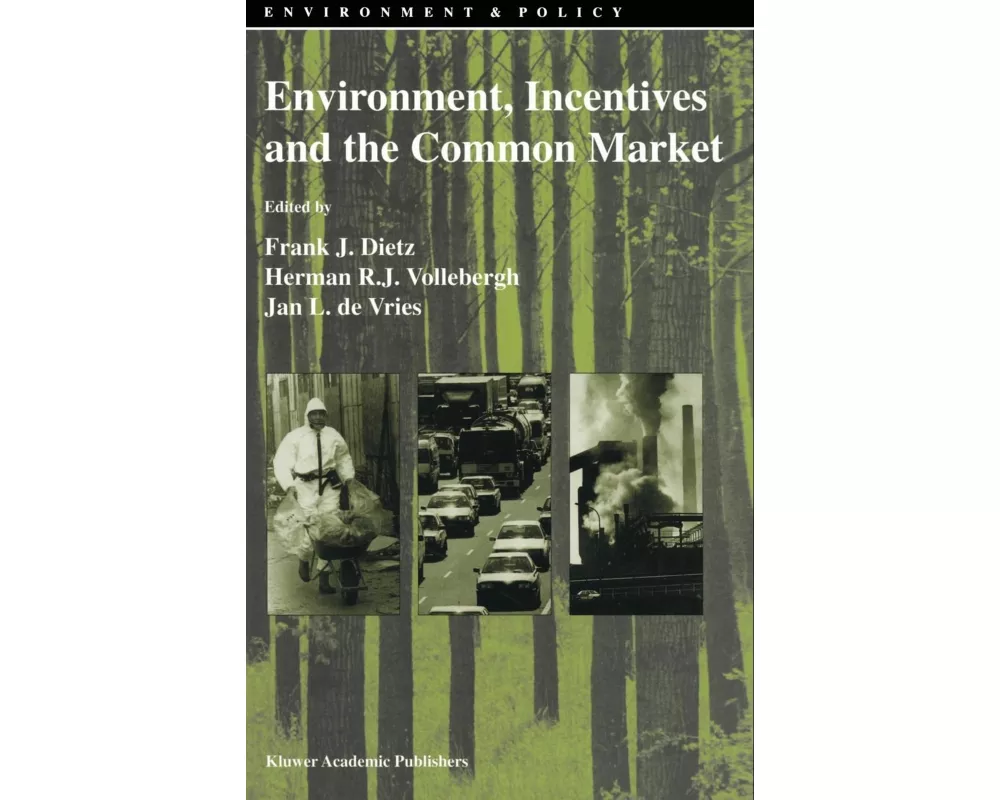 Environment, Incentives and the Common Market