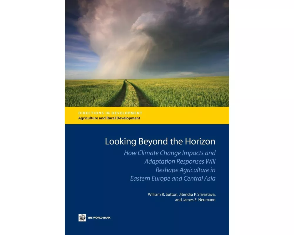 Looking Beyond the Horizon