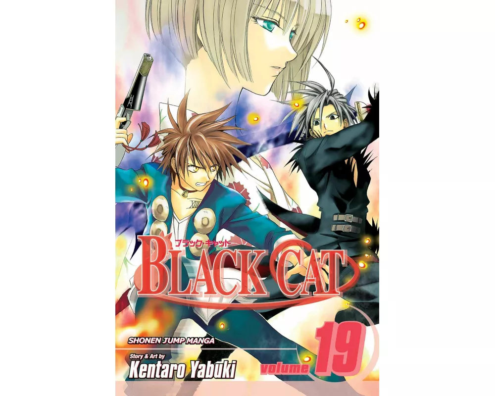 Black Cat, Vol. 19
