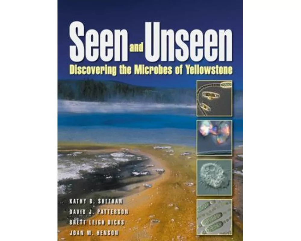 Seen and Unseen