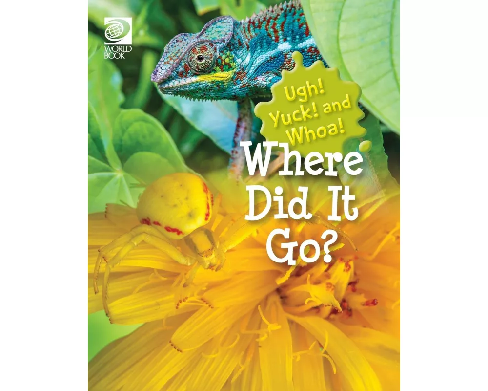 Where Did It Go?