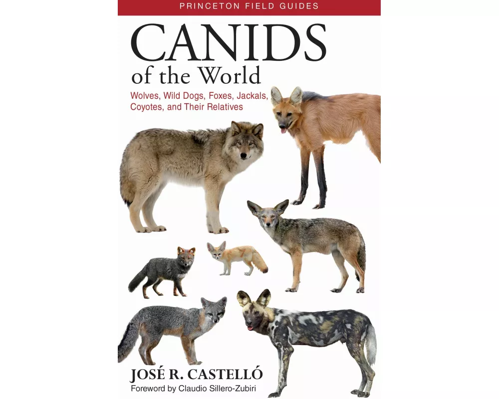 Canids of the World