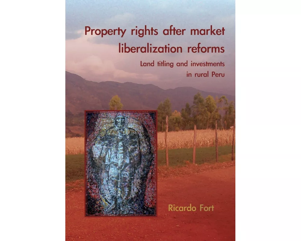Property Rights After Market Liberalization Reforms