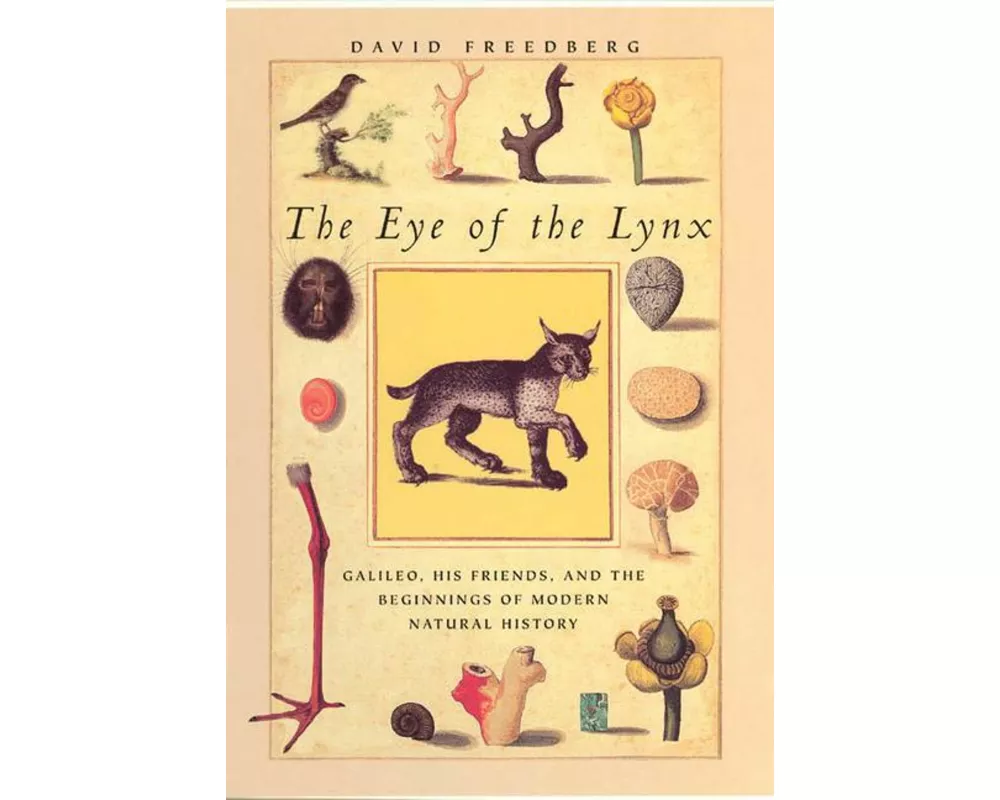 The Eye of the Lynx
