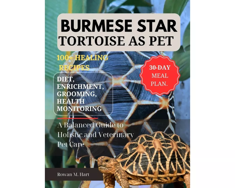 Burmese Star Tortoise As Pet