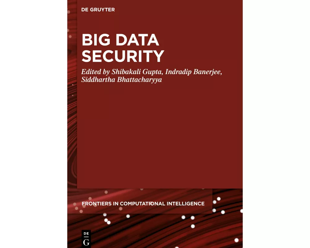 Big Data Security