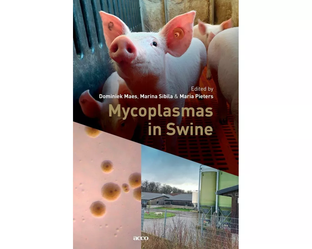 Mycoplasmas in Swine