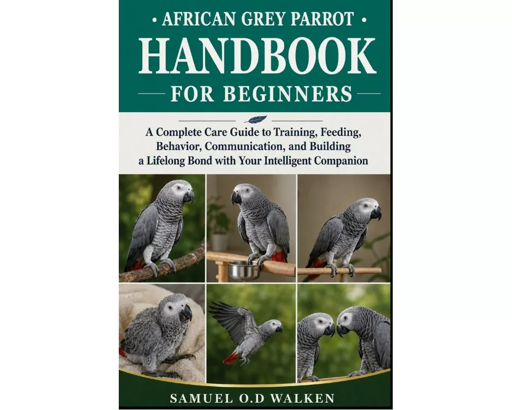 African Grey Parrot Handbook For Beginners