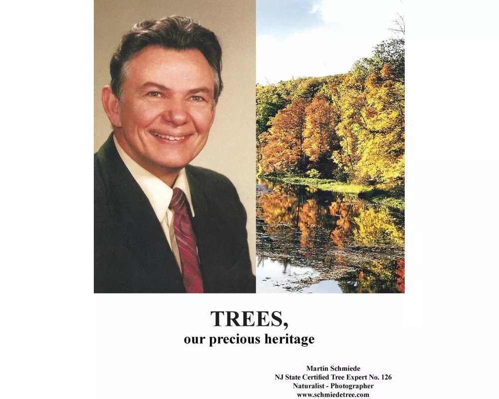 Trees, Our Precious Heritage