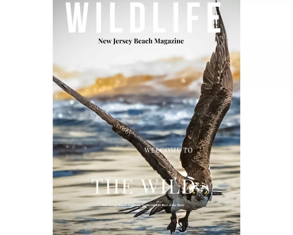 New Jersey Beach Magazine Wildlife 2024