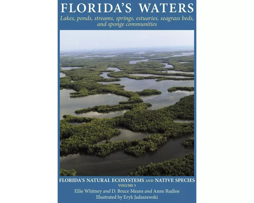 Florida's Waters