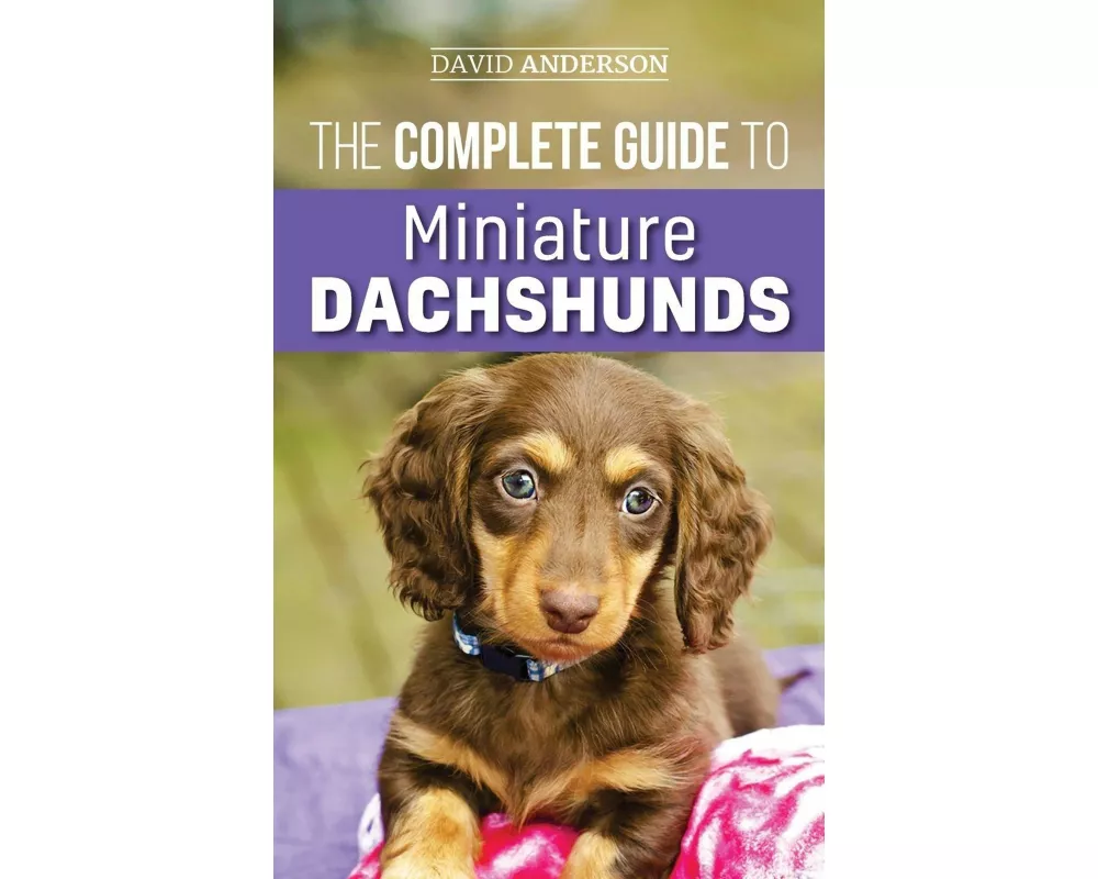The Complete Guide to Miniature Dachshunds