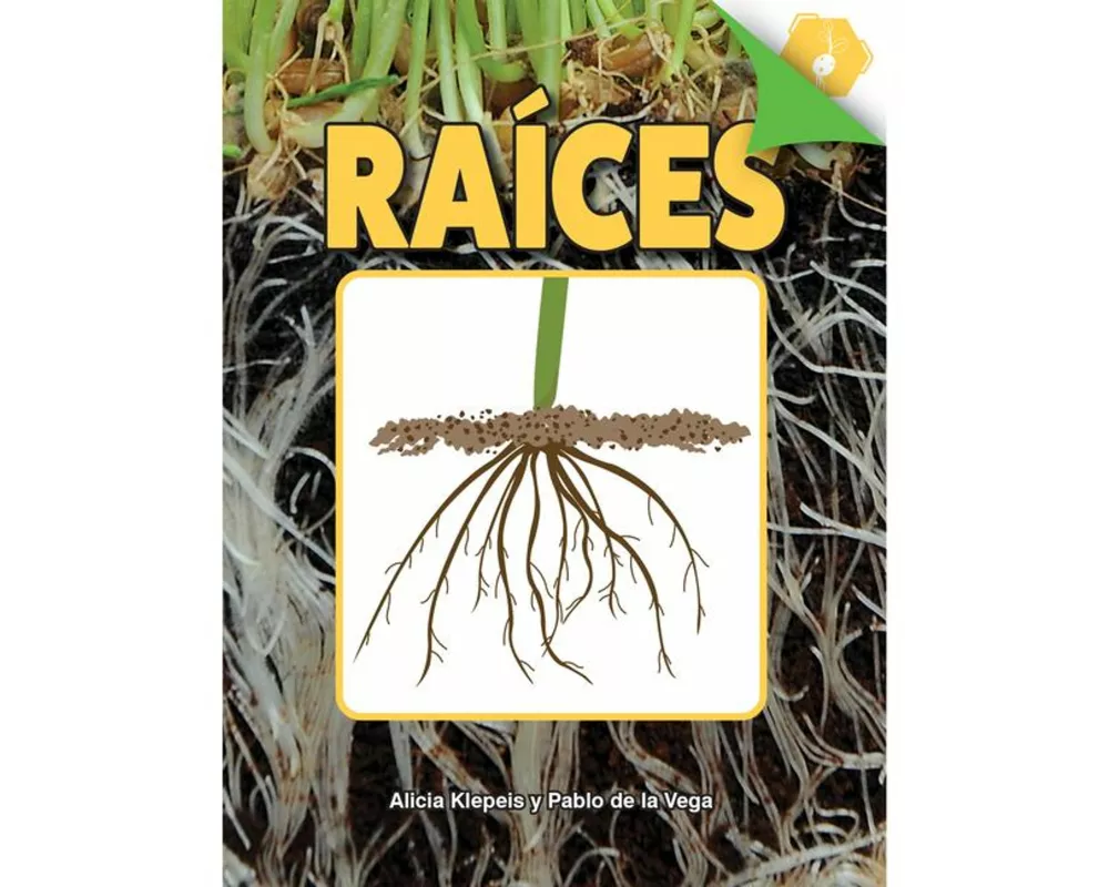 Raices