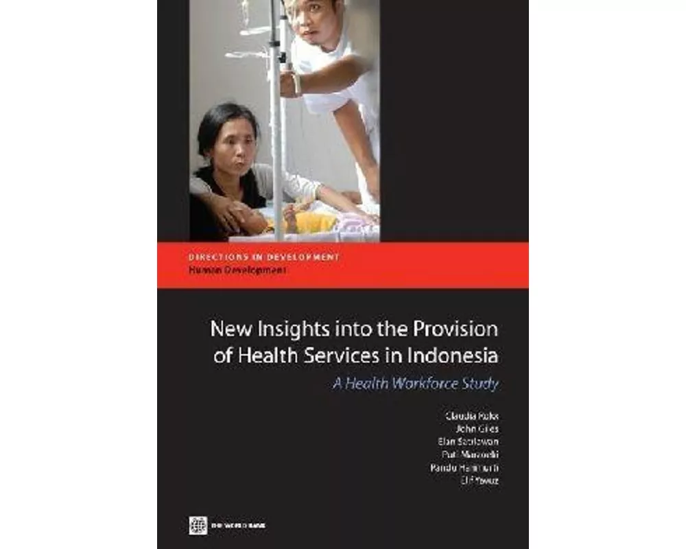 New Insights Into the Provision of Health Services in Indonesia