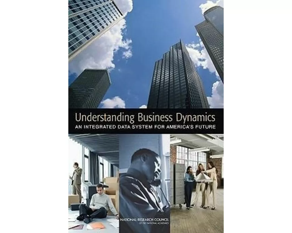 Understanding Business Dynamics