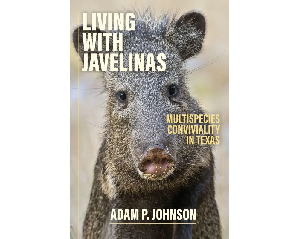 Living with Javelinas