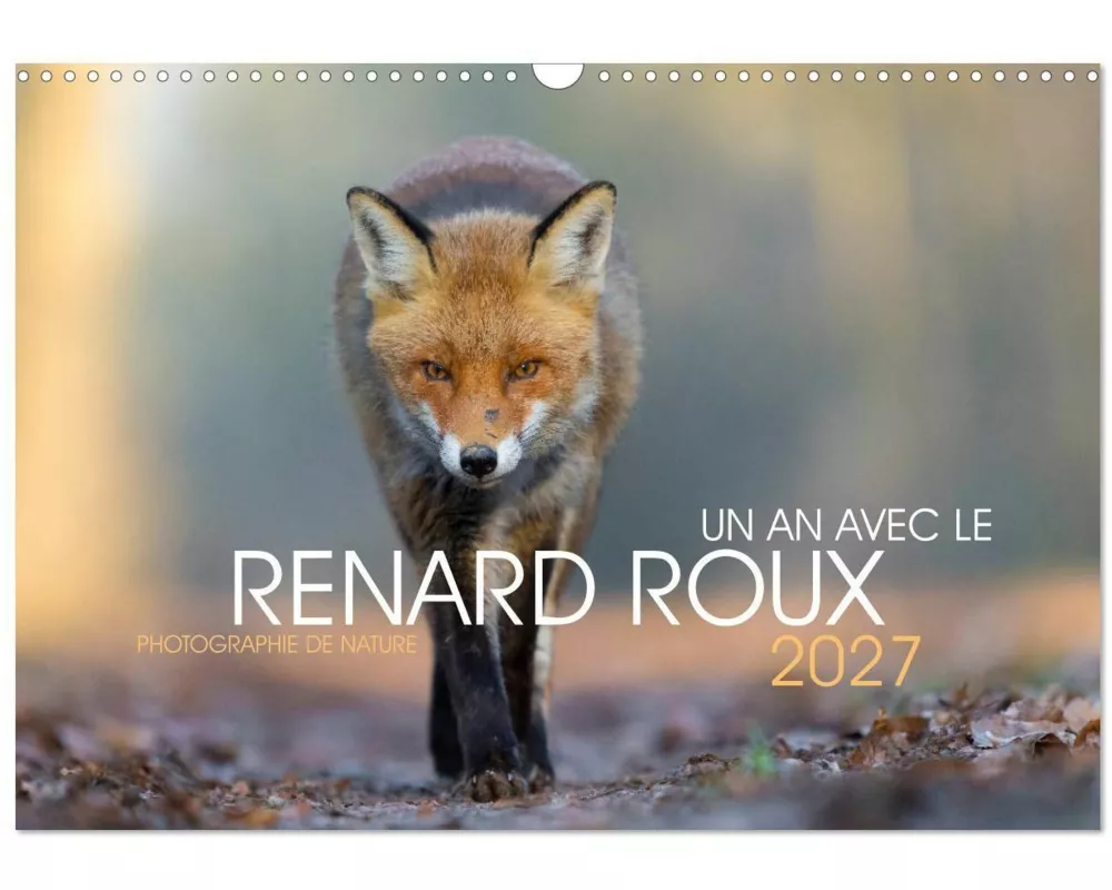 Un an avec le renard roux (Calendrier mural 2027 DIN A3 vertical), CALVENDO calendrier mensuel