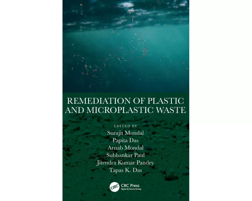 Remediation of Plastic and Microplastic Waste