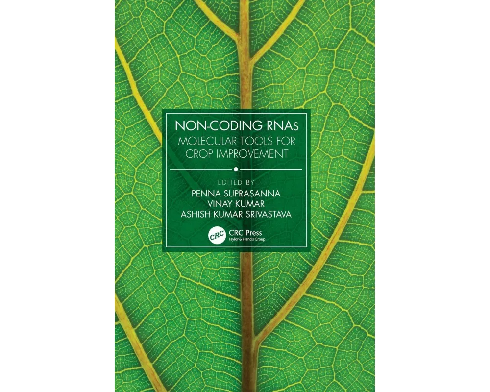 Non-Coding RNAs