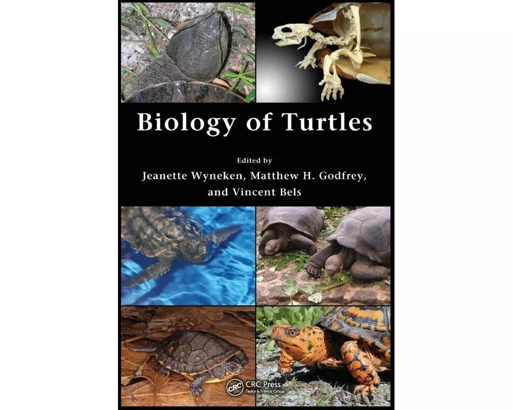 Biology of Turtles