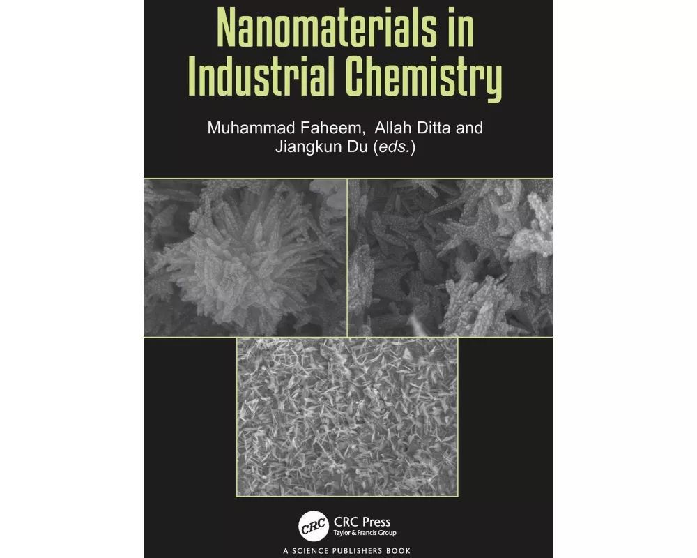 Nanomaterials in Industrial Chemistry