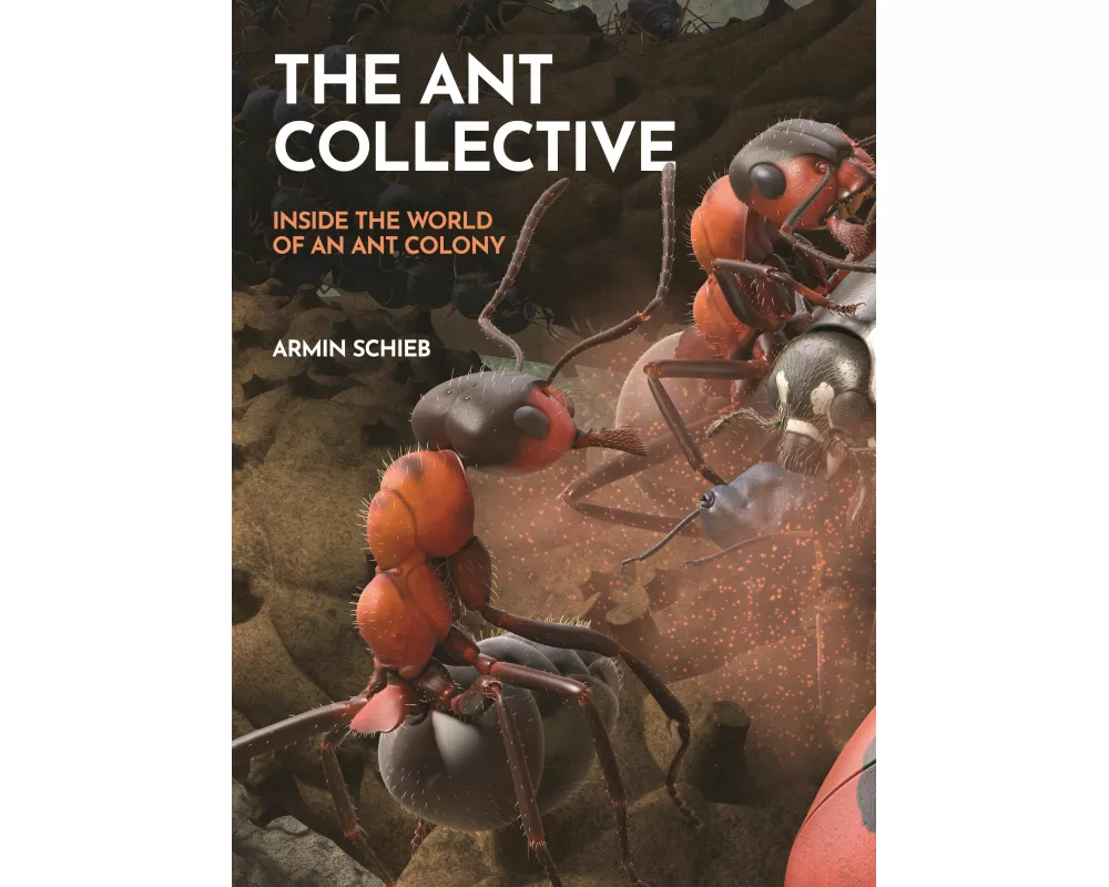 The Ant Collective