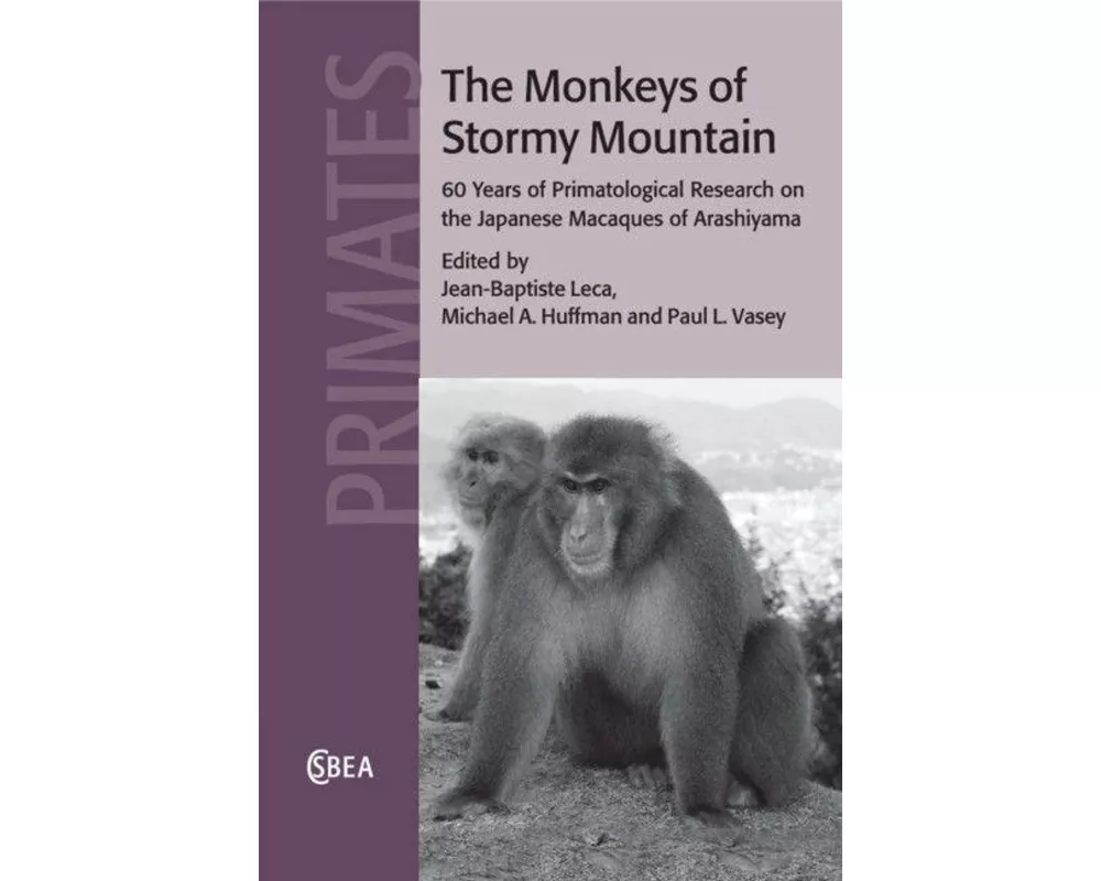 The Monkeys of Stormy Mountain