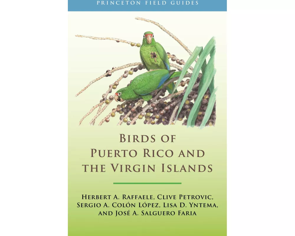 Birds of Puerto Rico and the Virgin Islands