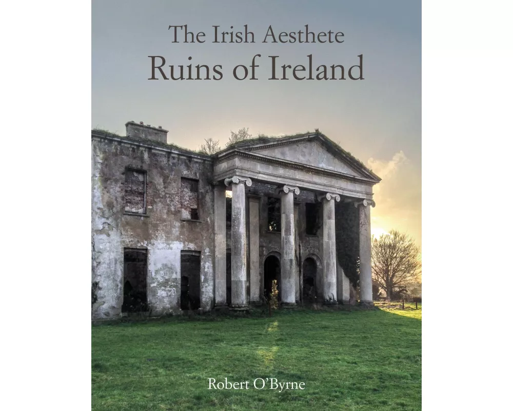 The Irish Aesthete: Ruins of Ireland