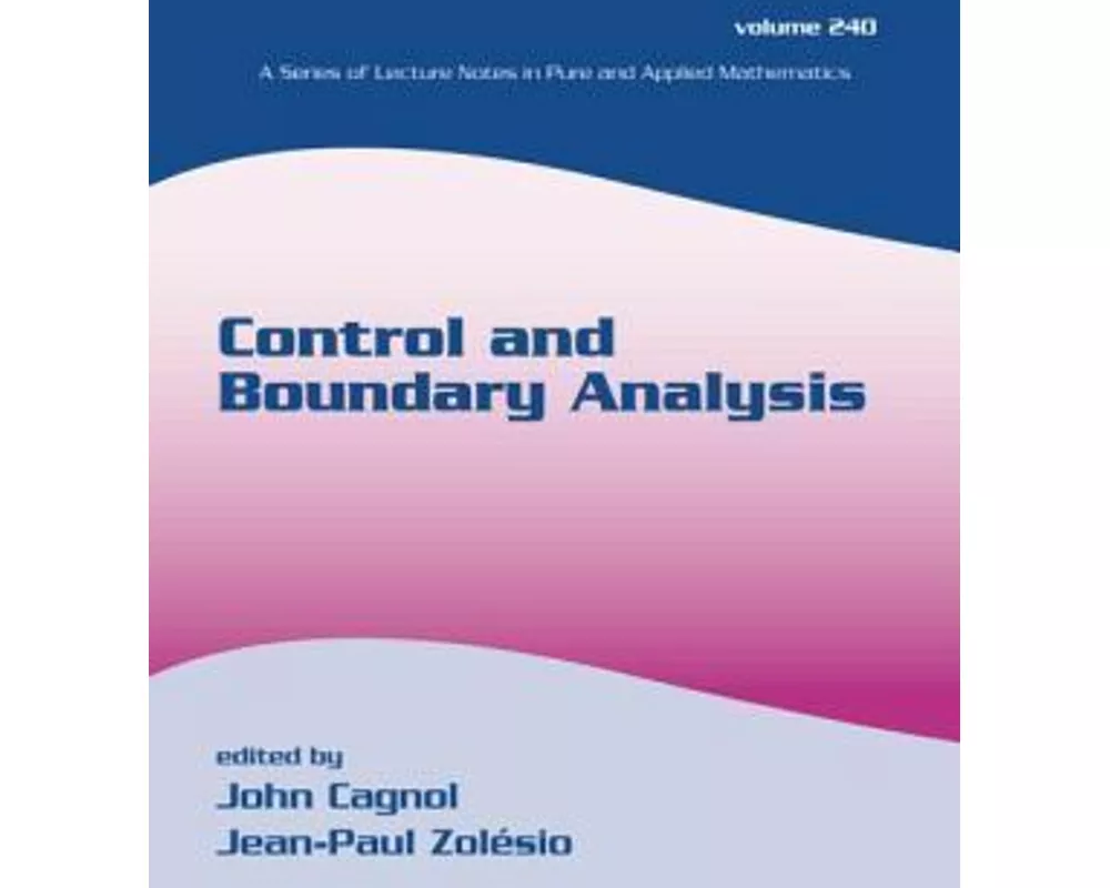 Control and Boundary Analysis