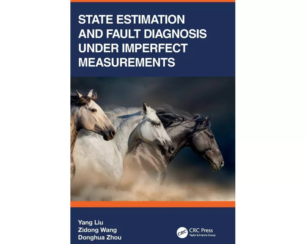 State Estimation and Fault Diagnosis under Imperfect Measurements