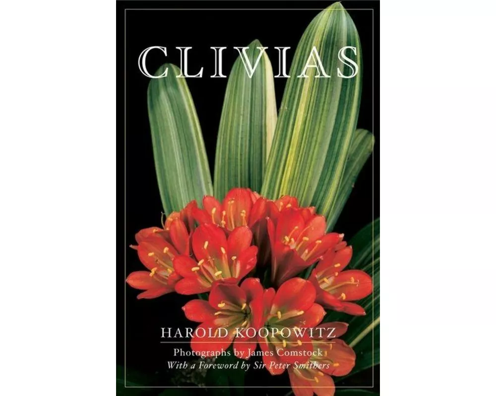Clivias