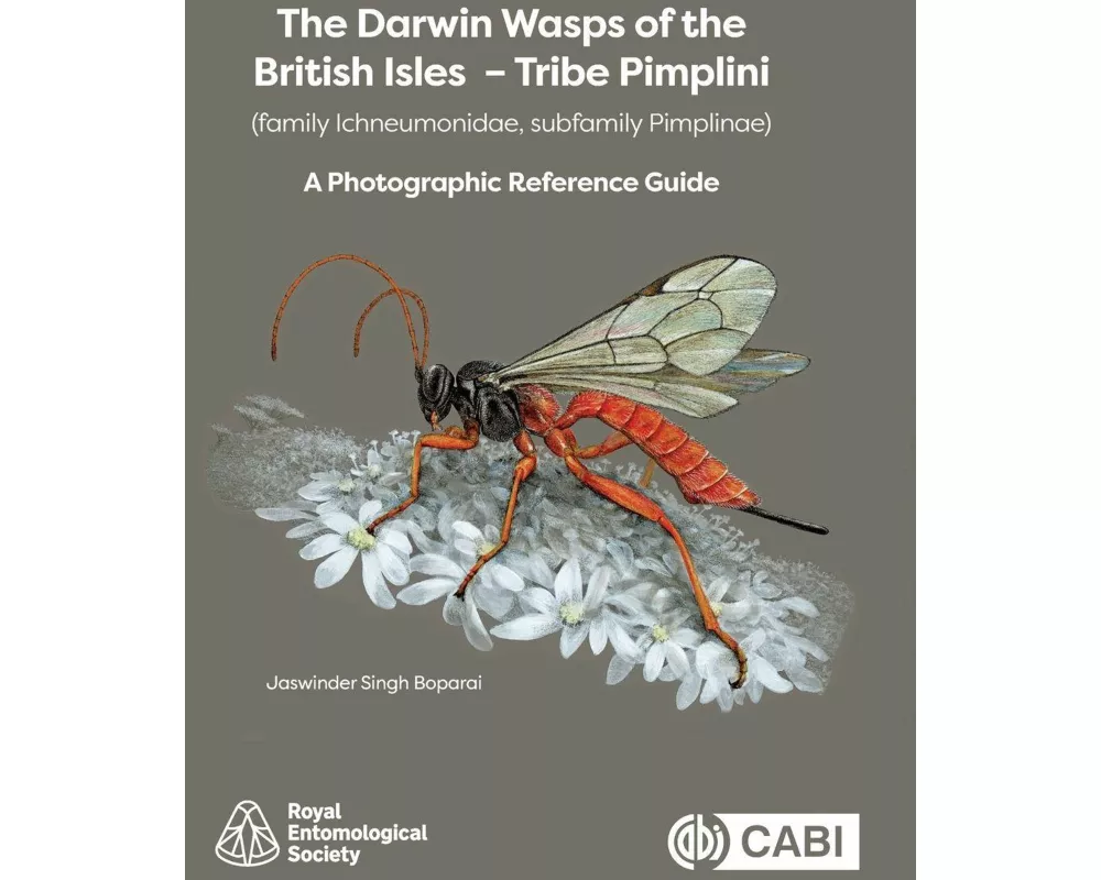 Darwin Wasps of the British Isles - Tribe Pimplini (Family Ichneumonidae, Subfamily Pimplinae)