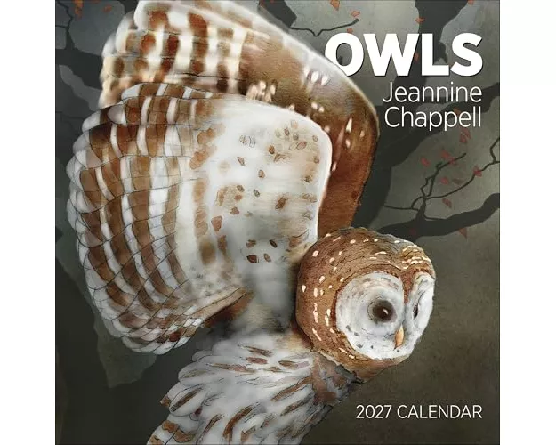 Owls: Jeannine Chappell 2027 Wall Calendar