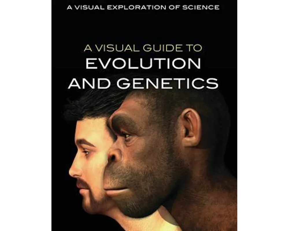 A Visual Guide to Evolution and Genetics
