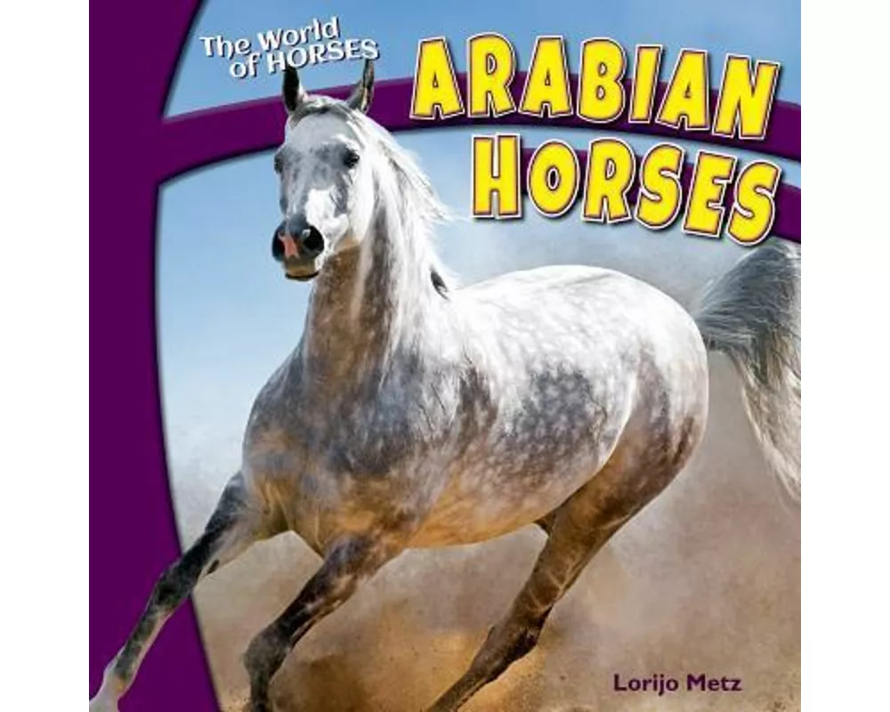 Arabian Horses