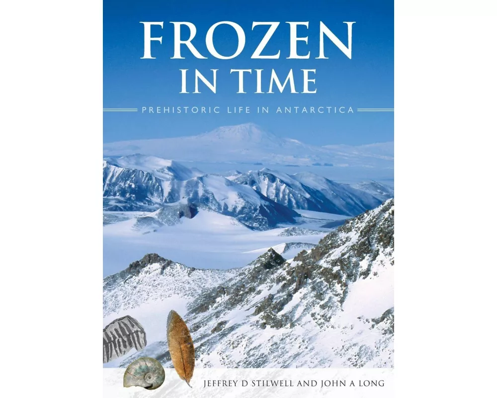Frozen in Time