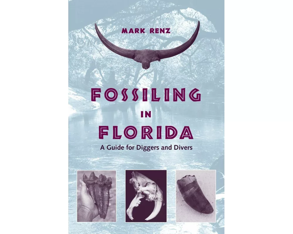 Fossiling in Florida