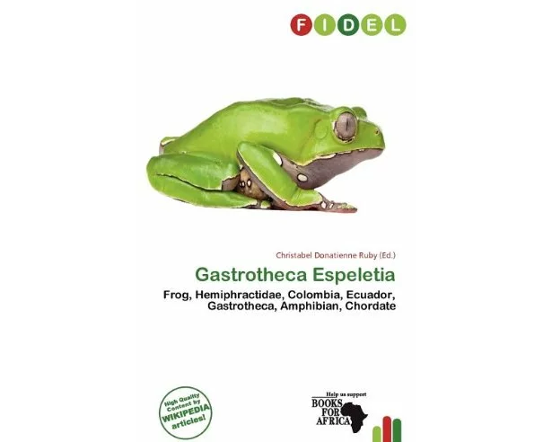 Gastrotheca Espeletia