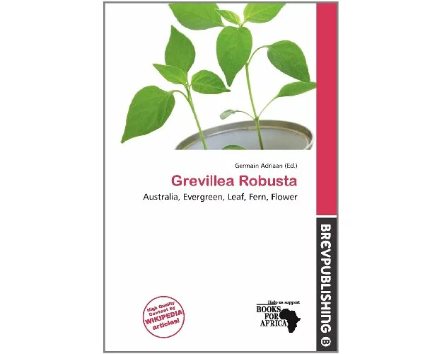 Grevillea Robusta