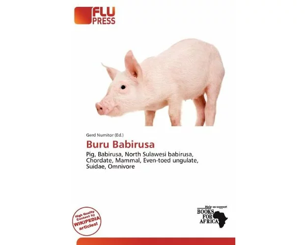 Buru Babirusa