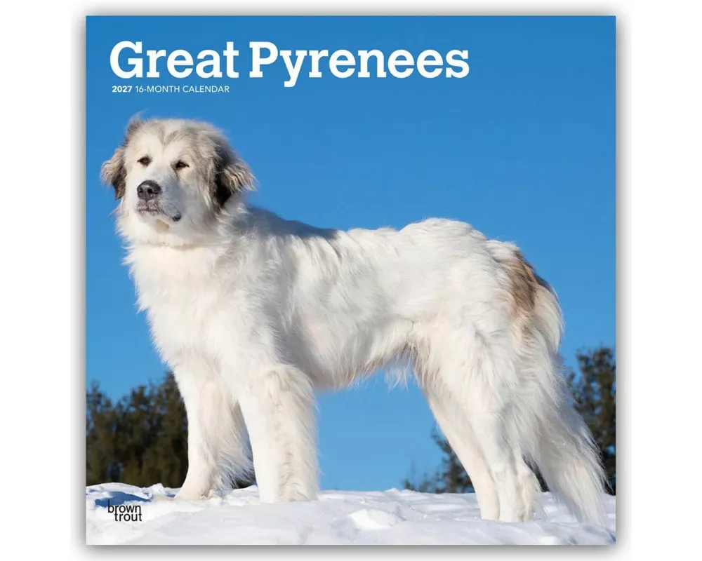 Great Pyrenees - Pyrenäenberghund 2027 - 16-Monatskalender